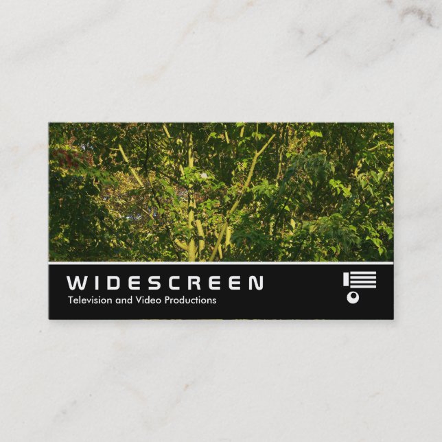 Widescreen 378 - Japanska Grenar V Visitkort (Framsida)
