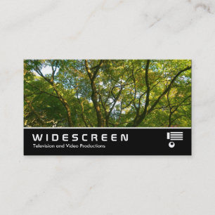 Widescreen 379 - Japanska Grenar VI Visitkort