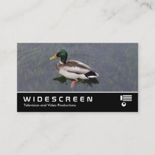 Widescreen 390 - Mallard Anka Visitkort