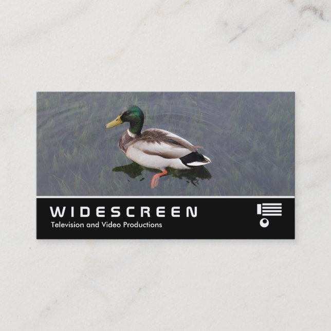 Widescreen 390 - Mallard Anka Visitkort (Framsida)