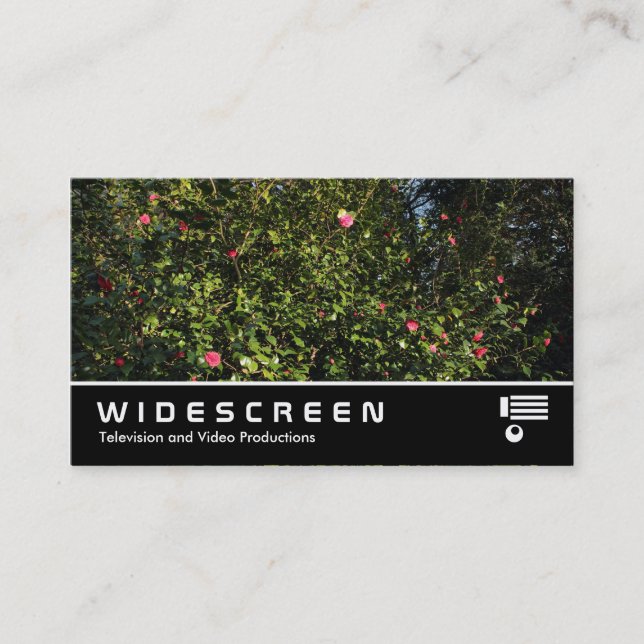 Widescreen 394 - Camellia Bush Visitkort (Framsida)