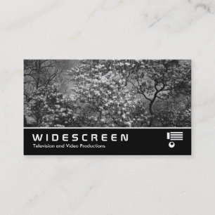 Widescreen 398 - Magnolia Träd i Blommar (B&W) Visitkort