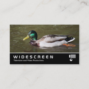 Widescreen 401 - Mallard Anka Visitkort