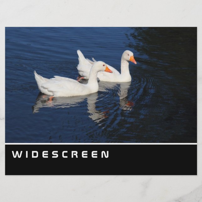 Widescreen - Emden Geese Reklamblad (Framsidan)