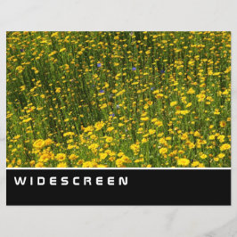 Widescreen - Fält i Gultens Daisy Reklamblad