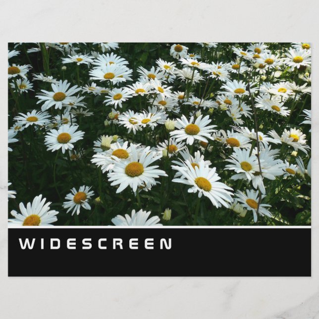 Widescreen - Shasta-Daisy Reklamblad (Framsidan)