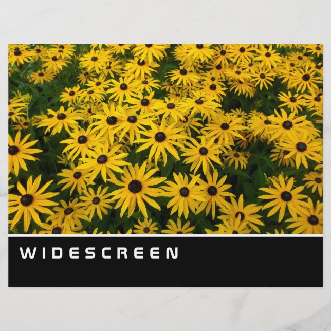 Widescreen - Svartögda Susans Reklamblad (Framsidan)