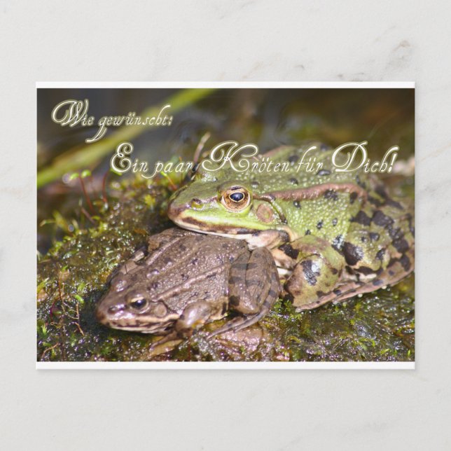 Wie gewünscht: Ein paar Kröten für Dich! Vykort (Framsida)