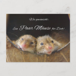 Wie gewünscht: Ein paar Mäuse für Dich! Vykort