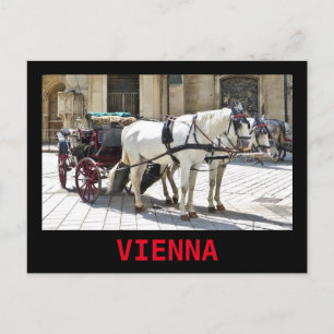 Wien Fiaker med vita hästar - vykort