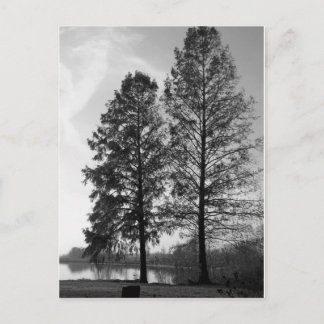 Wien Maryland Vattenfront Vykort