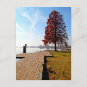 Wien Maryland Waterfront-Nanticoke River Vykort