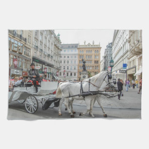 Wien Österrike Kökshandduk