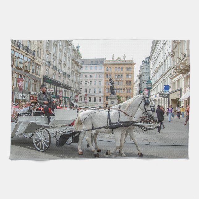 Wien Österrike Kökshandduk (Horisontell)