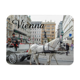 Wien Österrike Magnet