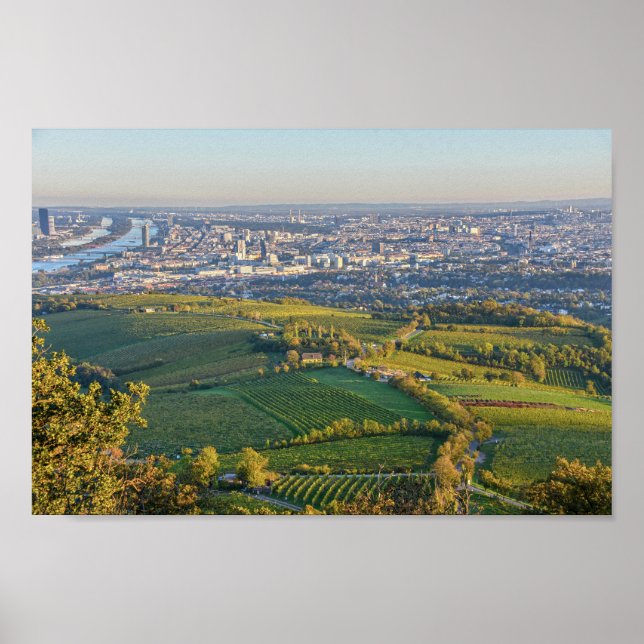 Wien, Österrike, Panorama från Kahlenberg Poster (Framsidan)