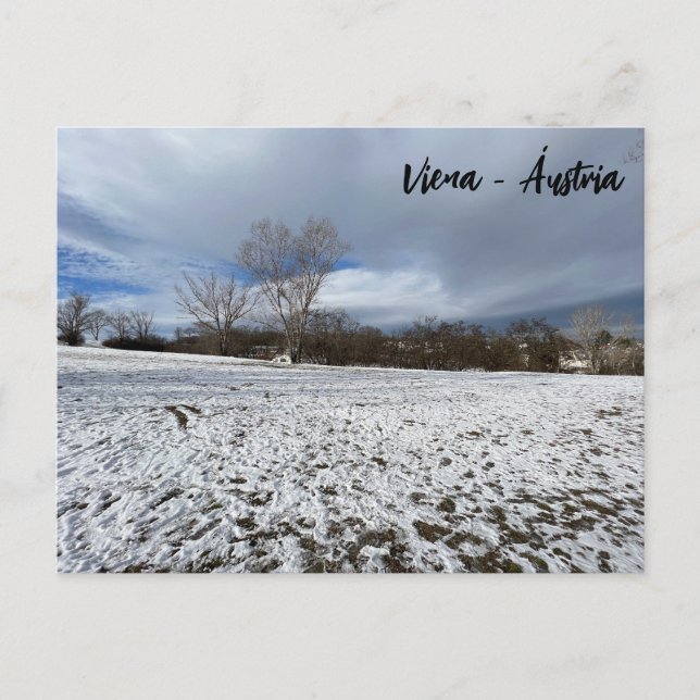 Wien - Österrike Vykort (Framsida)
