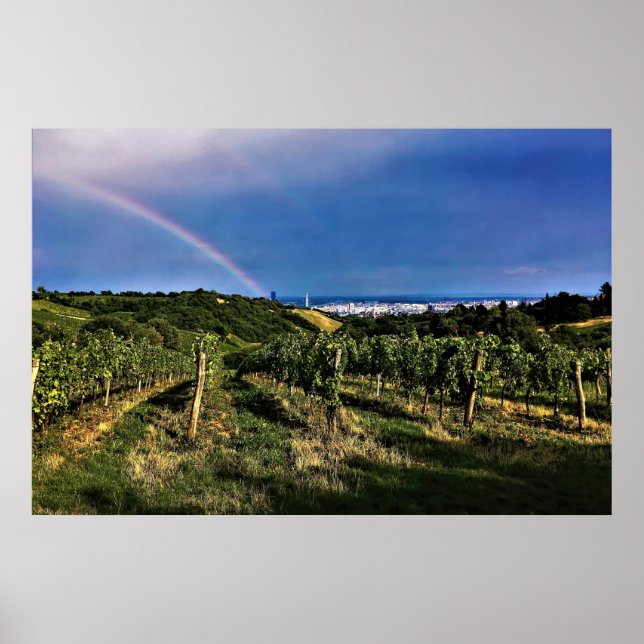 Wien Vineyard Rainbow Poster (Framsidan)
