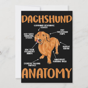 Wiener Doxie Älskare Tack Kort