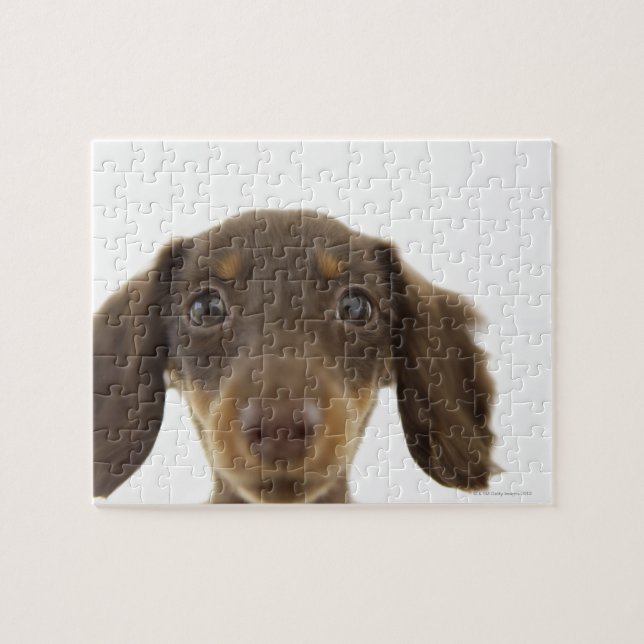 Wiener Hund (brun) 2 Pussel (Horisontell)