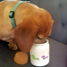 Wiener Hund Dachshund Treat Burk personalize
