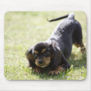 Wiener hund (svart) 2 musmatta
