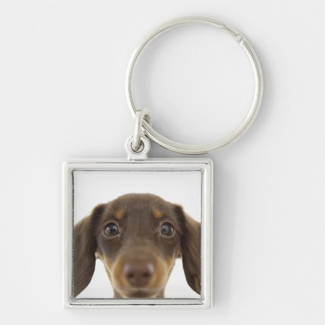 Wienerhund (brunt) 2 fyrkantig silverfärgad nyckelring (Framsidan)