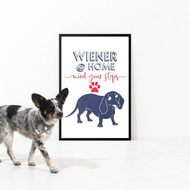 Wienerhund hemma fototryck (Skapare uppladdad)