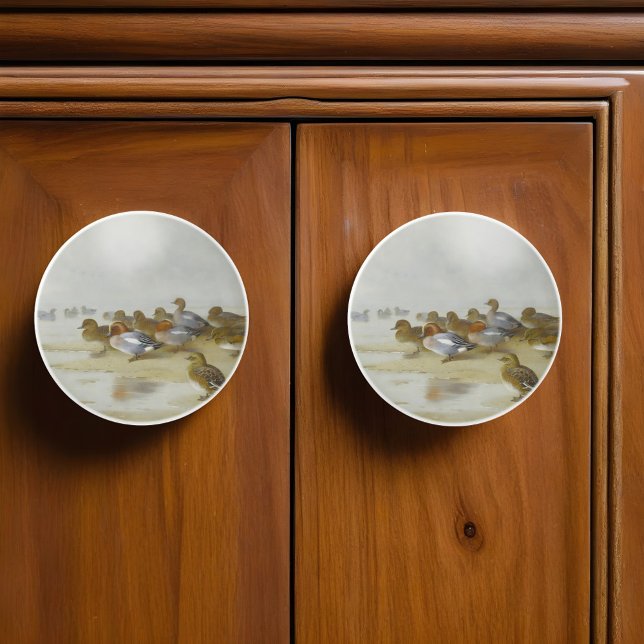 Wigeon och Teal av vatten kant, Art Knopp (Skapare uppladdad)