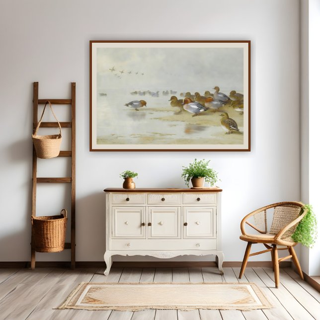 Wigeon och Teal av vatten kant, Art Poster (Skapare uppladdad)