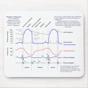 Wiggers diagram musmatta
