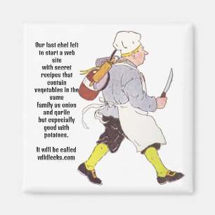 "Wiki-LEEKS" Magnet