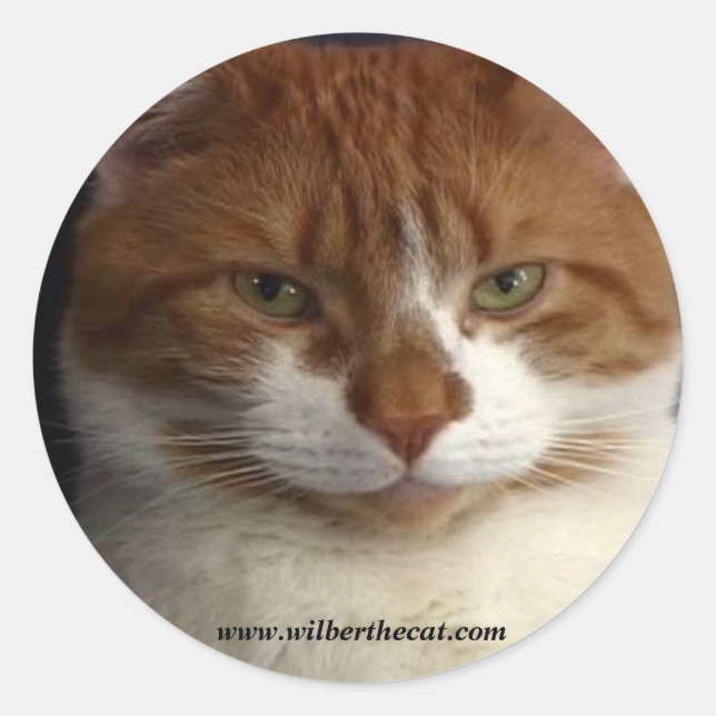 Wilber Sticker Runt Klistermärke (Framsida)