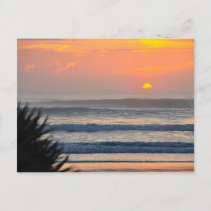 Wilbur by Sea Handflatan Sunrise Florida Postcard Vykort