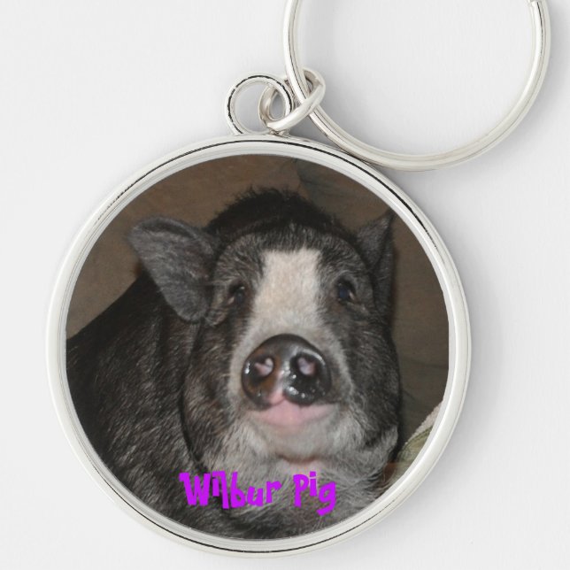 Wilbur gris Keychain Rund Silverfärgad Nyckelring (Framsidan)