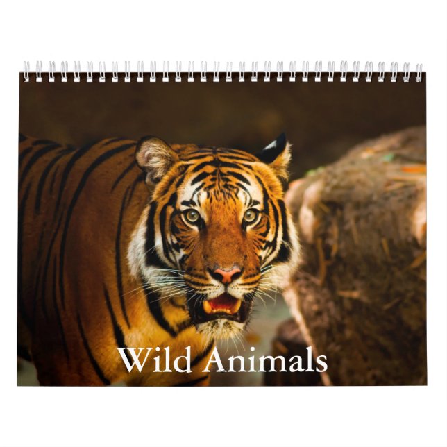 Wild Animals Calendar Kalender (Omslag)