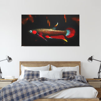 Wild Betta Livida – Svartvattensumpskogarnas skönh Canvastryck
