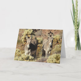 Wild Burros Greeting Kort