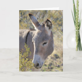 Wild Burros Greeting Kort
