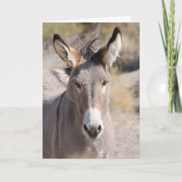 Wild Burros of California Kort
