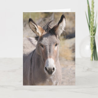 Wild Burros of California Kort
