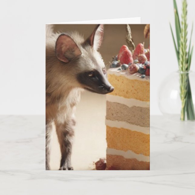 Wild Curiosity & Layered Cake Kort (Framsida)