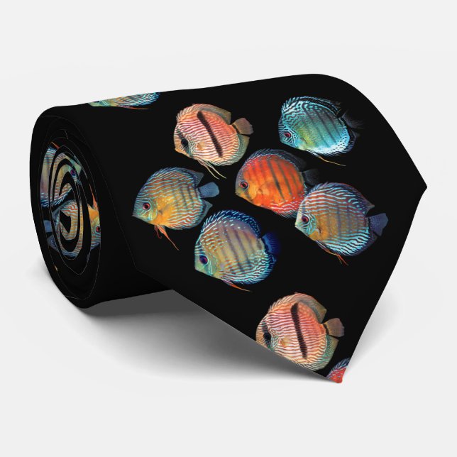 Wild Discus Fish Slips (Rullad)