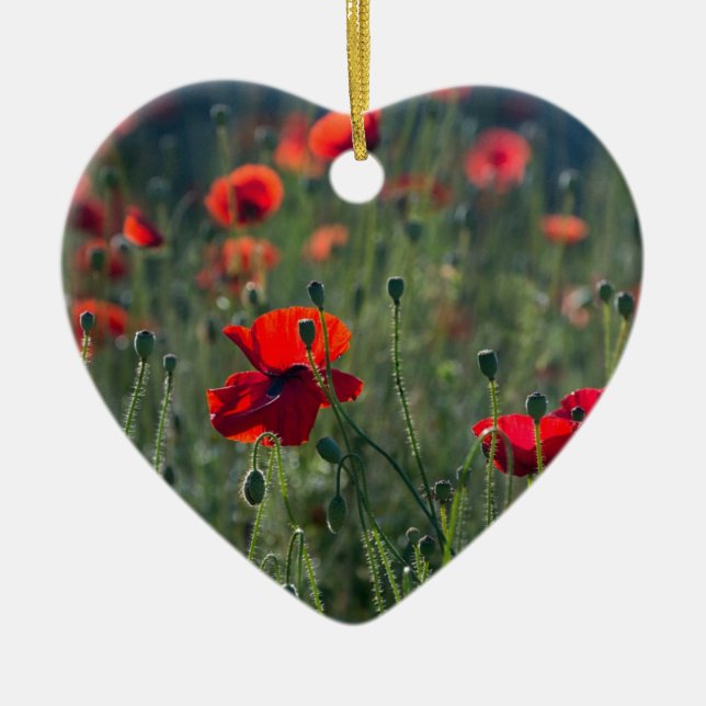 Wild Field of Poppies Ceramic Ornament (Framsidan)