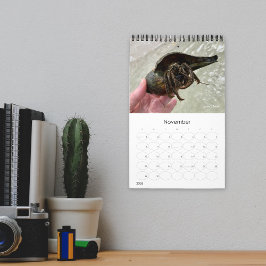 Wild Florida Marine Snails Hermit Crabs Custom Kalender