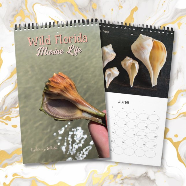 Wild Florida Marine Snails Hermit Crabs Custom Kalender (Skapare uppladdad)