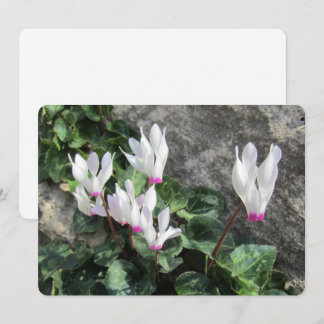 Wild Flowers Flat Holiday Card Julkort
