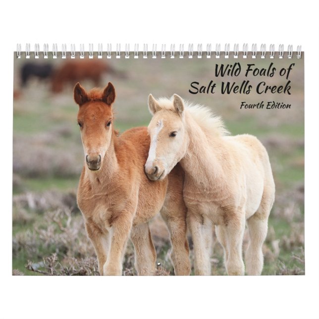 Wild Foals of Salt Wells Creek Kalender (Omslag)