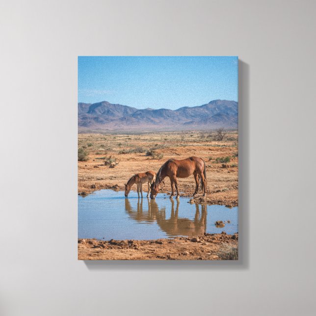 Wild Horses Desert Water Reflection Art Canvastryck (Framsida)