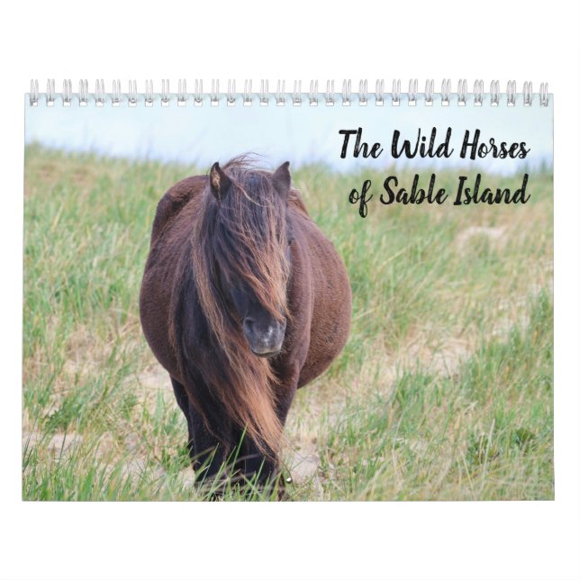 Wild Horses of Sable Island Calendar Kalender (Omslag)